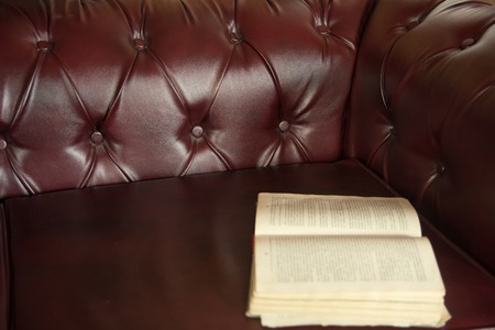 Background is an open old book on a claret-colored leather sofa.