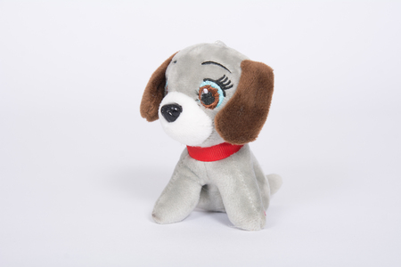 Soft toy dog with brown ears on a white background.の写真素材