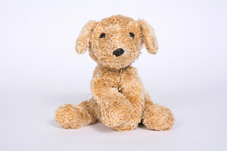 Dog toy isolated on white background.の写真素材