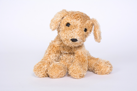 Soft toy doggie isolated on light background.の写真素材