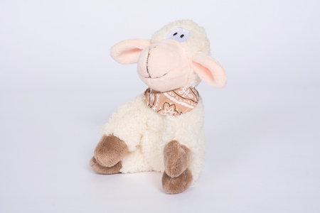 Soft toy sheep on white background.の写真素材