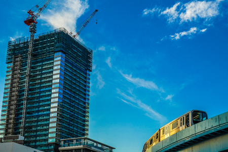 High-rise apartment and black-headed gulls in construction