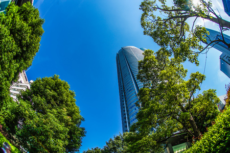 Roppongi Hills and the fresh greenのeditorial素材