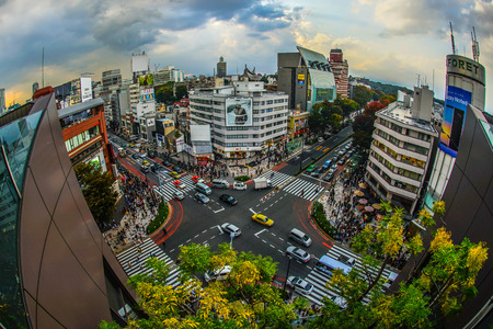 The view from the Tokyu Plaza Omotesando Harajuku rooftop 1のeditorial素材