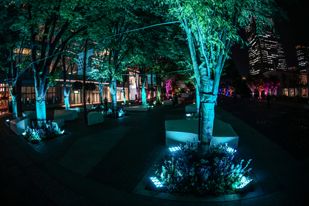 Marquise and Illuminationのeditorial素材