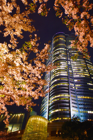 Night of Yokohama Portのeditorial素材