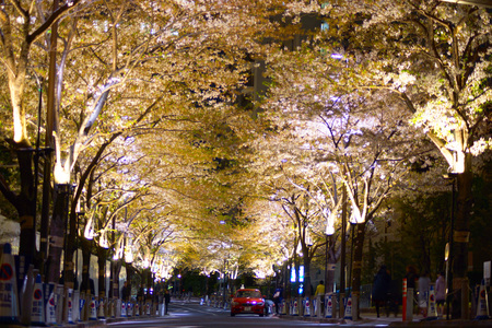 Tunnel of cherry blossomsのeditorial素材