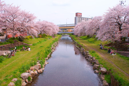 Spring Nogawa (Chofu)のeditorial素材