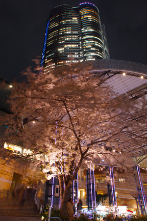 Roppongi Hills and cherryのeditorial素材