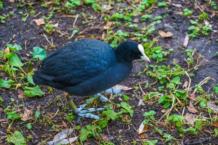 Night view seen from the hill park with views of the harborの写真素材