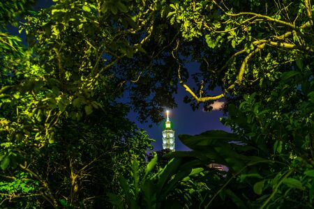 Taipei look out of the woods 101の写真素材