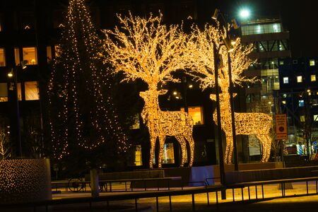 Reindeer of illumination (Stockholm, Sweden)