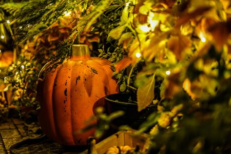 Image of Halloween jack lanternの写真素材