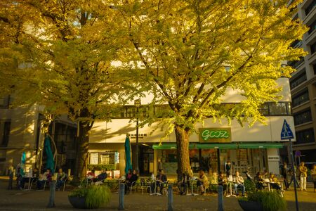 Autumn leaves of Yokohama, Japan Boulevardの写真素材