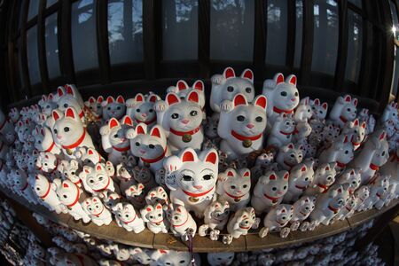 Beckoning of the image (Tokyo Gotokuji)の写真素材