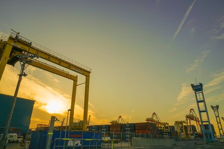 Crane group of Yokohama Port and eveningのeditorial素材