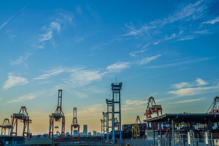 Crane group of Yokohama Port and eveningのeditorial素材