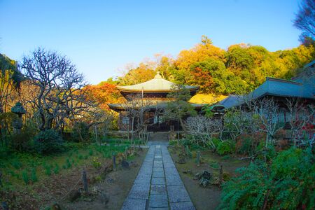 Autumn leaves and Kamakura skylineのeditorial素材