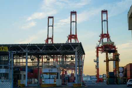 Crane group of Yokohama Port and evening