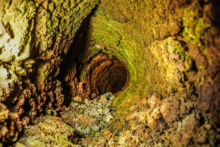 Lava tree type cave search