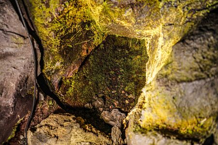 Lava tree type cave searchの写真素材