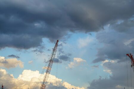 Large cranes and summer thunderhead