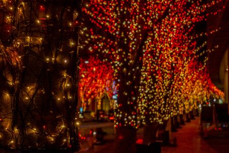 Christmas illuminations and the night view of the imageの写真素材