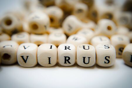 Block of wood of the virus (VIRUS)の写真素材