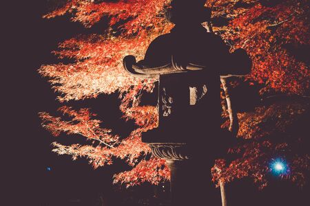 Autumn leaves image of a Japanese garden