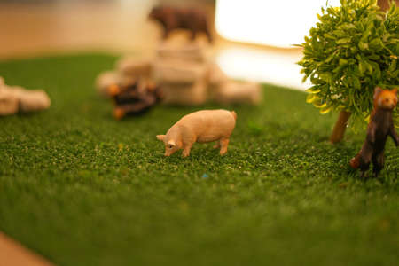 Of pig figure and Savannah imageの写真素材