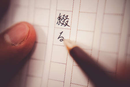 Manuscript paper and a ballpoint pen and grassの写真素材