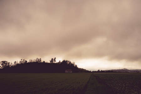 Silhouette image of sunset and treeの写真素材