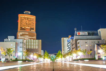 Hamamatsu City, Shizuoka Prefecture of night view