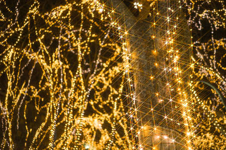 Illumination of the pageant of Sendai light. Shooting Location: Sendai, Miyagi Prefecture