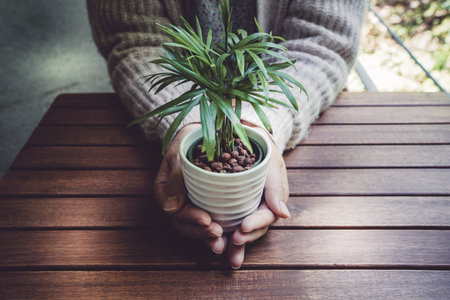 Women with foliage plants with both hands. Shooting Location: Yokohama-city kanagawa prefectureの写真素材
