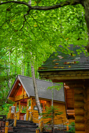 Image of Lodge standing in the forestの写真素材