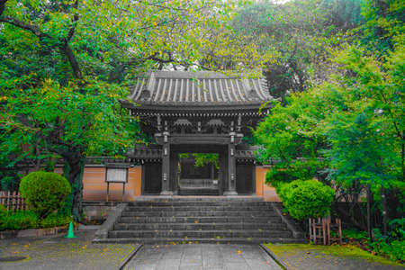 The city of the new greenish green and the city of the valley. Shooting Location: Tokyo metropolitan areaのeditorial素材