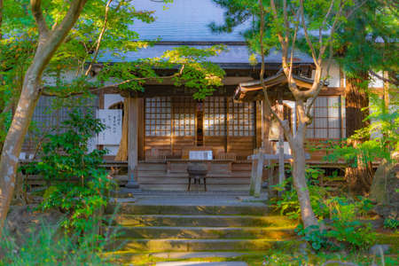 New green and twilight of a circle. Shooting Location: Kanagawa Prefecture Kamakura City