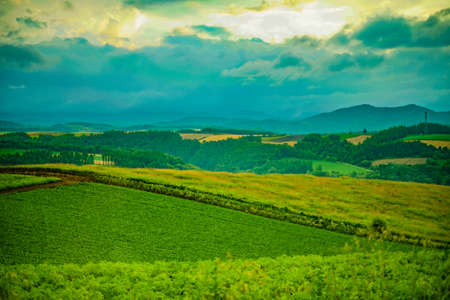 Sunset view with meadow in Hokkaido. Shooting Location: Hokkaido Biei-cho