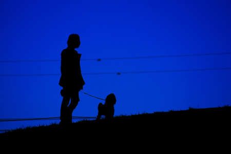 Silhouette image of dog walk (wallpaper material). Shooting Location: Tokyo metropolitan areaの写真素材