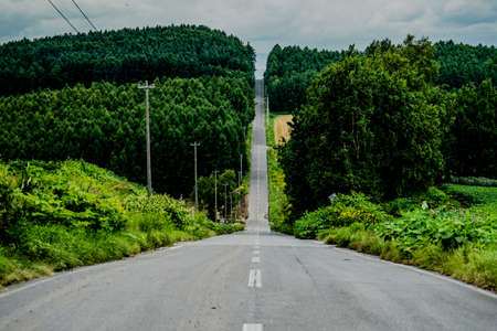Hokkaido long road and nature. Shooting Location: Hokkaido Biei-choの写真素材