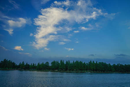 Mizumoto Park forest and blue sky. Shooting Location: Katsushika-ku, Tokyo