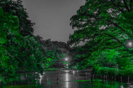 Night of the Inokashiro Park. Shooting Location: Tokyo Musashino Cityの写真素材