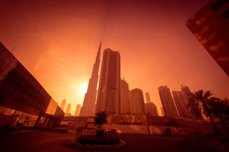 Bull jewellana and morning ray. Shooting Location: Dubaiのeditorial素材