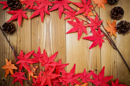 Autumn leaves and pine cones. Shooting Location: Yokohama-city kanagawa prefecture