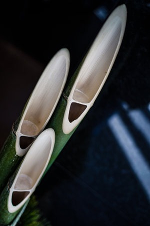 Image of Shopatsu (New Years card and New Year material). Shooting Location: Yokohama-city kanagawa prefectureの写真素材