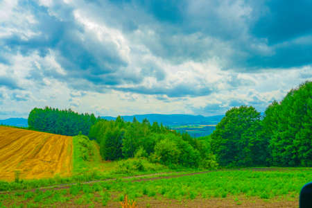 Hokkaido Furano plain. Shooting Location: Hokkaido Furano