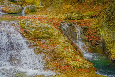 Forty -million holes and autumn leaves. Shooting Location: Gunma Prefecture