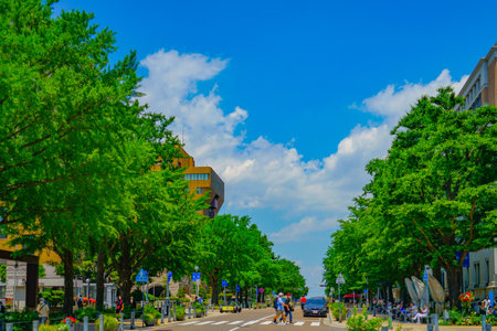 New Green (Yokohama Kannai) of Nippon Odori. Shooting Location: Naka-ku, Yokohama-shiの写真素材