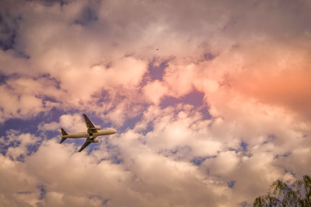 Airplane silhouette and dusk sky. Shooting Location: Ota -ku, Tokyoの写真素材